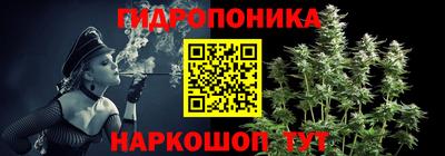 шишки Железноводск