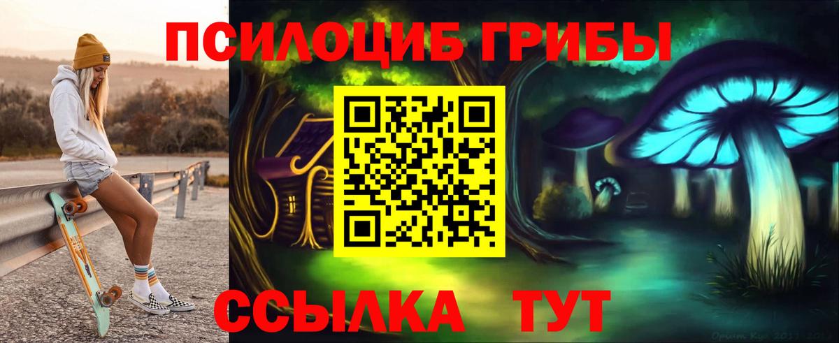 Галлюциногенные грибы Psilocybe Бахчисарай