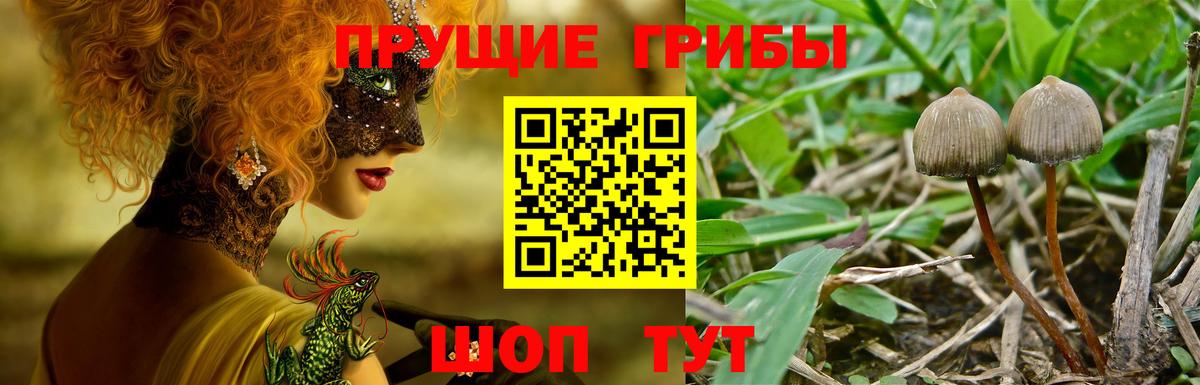 Бахчисарай  Галлюциногенные грибы ЛСД  Вход с VPN 
